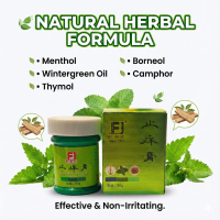 Herbal Anti-Itch Ointment | Reduces Swelling & Redness Fast | Cooling Relief for Insect Bites | 90g 