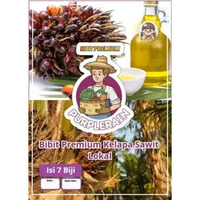 Bibit Premium Kelapa Sawit Lokal | Biji Kelapa Sawit Lokal