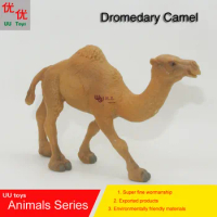 Hot toys:Dromedary Camel Simulation model Animals kids toys children educational props