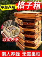 格子蜂箱中蜂加厚杉木蜜蜂箱蜂桶全套土養箱養蜂圓桶誘蜂桶招蜂桶