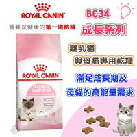 法國皇家ROYAL CANIN 【BC34離乳貓/母貓】專用貓飼料 懷孕貓 幼貓飼料  2KG 4KG