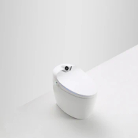 Luxury S-trap Intelligent Floor Mounted WC Remote Controlled Smart Bidet Toilet RS Q10
