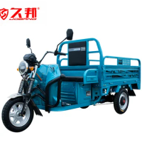 Electric Adult Tricycle Factory Directly Sale Cheap Price