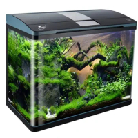 Ultra Clear Glass Aquarium Fish Tank with Internal Sump Bottom Filtration