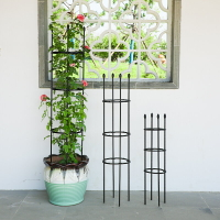 園藝花支架鐵製圓柱植物玫瑰爬藤架攀爬桿鐵線蓮柱形固定月季花架