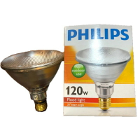 GE 奇異 PHILIPS Outdoor reflector PAR38 120W 戶外用 白熾燈 E27 220V