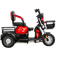 Hot Selling Tricycle 2 Seat Mobility for Adult Scooter 3 Wheel Motorcycle Electric