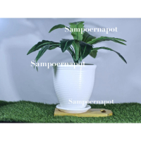 pot bunga tanaman lebah tinggi warna putih 21cm + tatakan putih