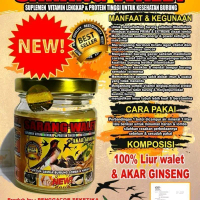 Sarang Walet 150cc botol besar Setingan Lomba burung berkicau