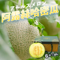 （農場快速直配）大顆溫室栽培阿露斯哈密瓜兩顆禮盒（約3斤/顆）