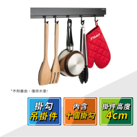 【HAFELE 海福樂】消光黑廚房收納置物架掛勾十個 523.00.390