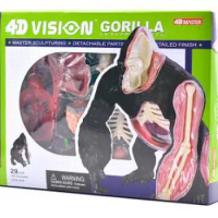 4D Master simulates the assembly model of gorilla anatomy group