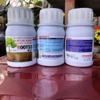 Phân bón NPK 6-8-4 ra rễ cực mạnh, bung chồi-đẻ nhánh ROOT3