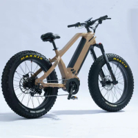 Mountain cross-country motor mid drive electric 48v 750W 1000W 1500W dual battery fat tire Full suspension bike