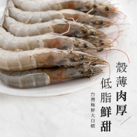 【巧食家】台灣極鮮大白蝦X6盒 40/50規格(250g/10-12隻/盒)
