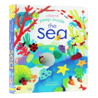 Usborne Peep Inside The Sea, Children's books aged 3 4 5 6, English picture book, 9781409599166