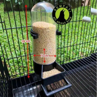 DISPENSER TABUNG CEPUK WADAH PAKAN MINUM BURUNG KACA AKRILIK BENING