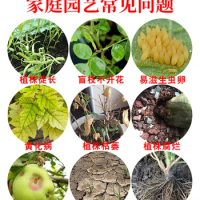 long-term flower cultivation, universal flower fertilizer for potted vegetables, household nitrogen, phosphorus, potassium