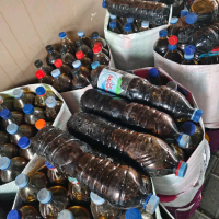 MOLASE TETES TEBU,  ORIGINAL ASLI