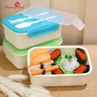 Calista Lunch box Prima Iwaki Sekat 2