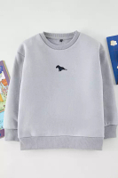 Trendyol Gray Boy Printed Knitted Sweatshirt Tkdaw25Sw00119