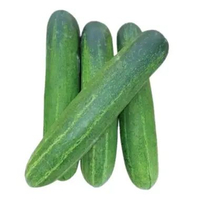 Timun / Mentimun / Ketimun 1 kg