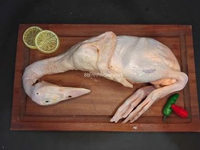 BEBEK HIBRIDA UTUH / BEBEK UTUH KUALITAS PREMIUM