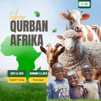 Tebar Qurban Afrika - Kambing Domba