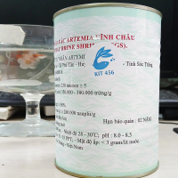 Artemia ấp nở Vĩnh Châu, Top 1 Thế Giới, tỷ lệ nở cao trên 98%, chiết lẻ hũ nhỏ.