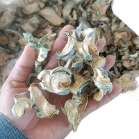 Trà bí đao sấy khô túi 1kg