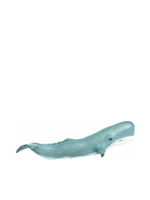 WS SEALIFE SPERM WHALE ADULT