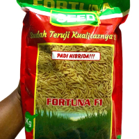 FORTUNA BIBIT PADI HIBRIDA