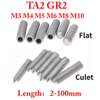 10 PCS M3 M4 M5 M6 M8 M10 X 3-60 mm Pure Titanium TA2 GR2 Cup Point Flat Culet Headless Allen Socket Screw Bolt