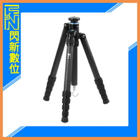 搶券最高折320｜Sirui 思銳 S-2205-N 碳纖維 平板 三腳架 不含雲台(S2205N,公司貨)