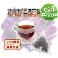 【蔘大王】花青素滋葚黑桑葚茶包X6組（6gX10入/組）長效期版(每入等於24g鮮果 就是黑黑黑 低糖高纖桑椹)