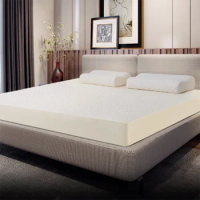 Minimalist Bed Mattress High Industrial Quality Latex Bedroom Tatami Creative Mattresses Foldable Matelas De Sol Sleep Furniture