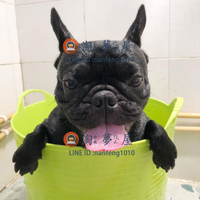 狗狗洗澡盆貓咪浴缸寵物專用藥沐浴盆泡澡桶【淘夢屋】