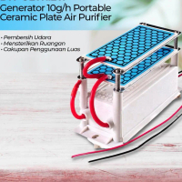 Generator 10g/h Portable Ceramic Plate Air Purifier
