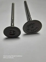 Valve /Klep Kawasaki Klx 150/Klx140