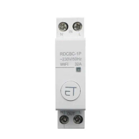 Durable Circuit Breaker Breaker AC230V 1P DIN Rail WIFI Circuit Breaker Normal Temperature Relay Remote Control