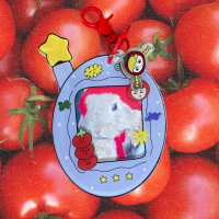 TOMATO PHOTO CARD HOLDER KEYCHAIN