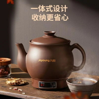 養生壺 茶飲機 DG20Z-GD110/GD111/GD112煎藥壺養生壺鍋熬藥電砂鍋「限時特惠」