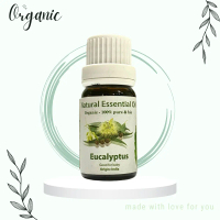 Tinh Dầu Thiên Nhiên Khuynh diệp - Eucalyptus Essential Oil