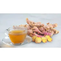 Jahe Merah Bubuk / Murni / Ground Ginger / Rempah Botol 100 Gram,Ecer