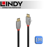 LINDY 林帝 ANTHRA USB 3.1 Gen 2 Type-C 公 to 公 傳輸線 + PD 智能電流晶片 1m (36901)