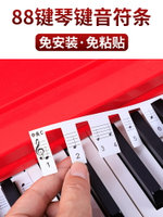 鍵琴貼 音符鍵位貼 免黏貼鋼琴鍵盤貼紙88鍵琴貼五線譜簡譜電子琴鍵盤音標貼音符貼紙『cyd12635』