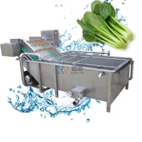 Automatic Food Fruit and Vegetables Cleaning Washing Machine Leafy Lettuce Cabbage Bubble Washer Cleaning Machines