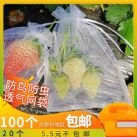 小夏-草莓套袋網袋水果防鳥防蟲網袋紗袋透氣陽臺盆栽無花果藍莓葡萄套