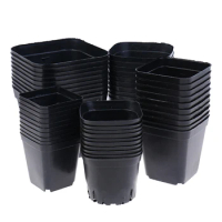 10pcs Black Flower Pots Plastic Pots Small Square Pots for Succulent plants
