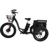2022 User-friendly Electric Tricycle Bike 3 Wheel electric tricycle for handicapped from China